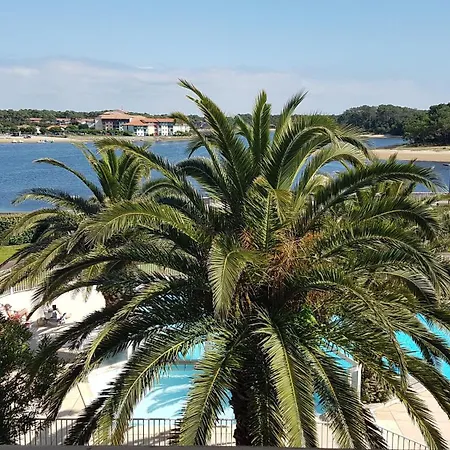 Face Au T2 4 Personnes Avec Piscine