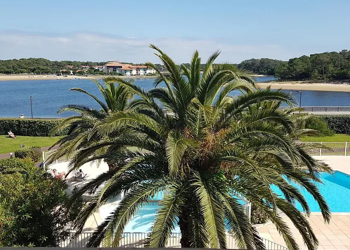 Face Au T2 4 Personnes Avec Piscine